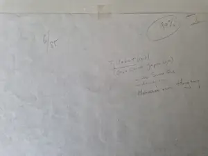 C E A van Boeckel - Tjileboet in de SuluZee kopen? Bied vanaf 60!