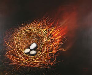 Bruno Bruni - Kleurenoffset-litho COVO Handgesigneerd. kopen? Bied vanaf 45!