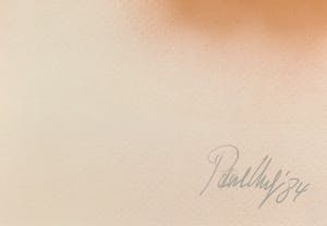Paul Huf - C-print - 'Butterflies' - 1988 (INGELIJST) kopen? Bied vanaf 150!