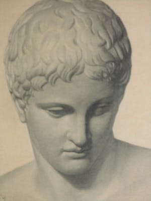 Cornelia Hioolen - Potloodtekening - Apollo kopen? Bied vanaf 50!