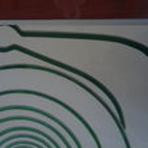 Ineke Calis - tien groen kopen? Bied vanaf 1!