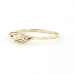 Bicolour BWG (333) ring - ringmaat 17 (53) kopen? Bied vanaf 40!