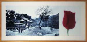 Jean Ruiter - Foto, Kodai-ji Zen Garden - Ingelijst (Zeer groot) verkocht voor € 100!