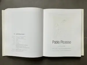 Pablo Picasso - Catalogue Raisonné - Picasso in his posters - 4 delen kopen? Bied vanaf 500!