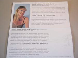 Corry Ammerlaan - Samenwerking op Niveau - grootste versie in brons - 45 cm kopen? Bied vanaf 400!