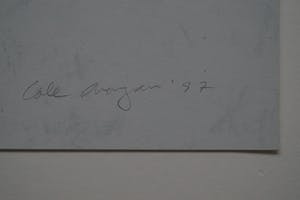 Cole Morgan - Compass North kopen? Bied vanaf 225!