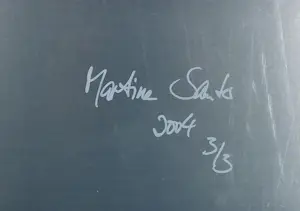 Martina Sauter - Fotografie (3D!), Twist - Dibond kopen? Bied vanaf 20!