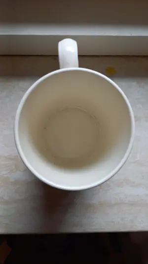 Wedgwood - Pelgrims beker Geoffrey Chauer. kopen? Bied vanaf 25!