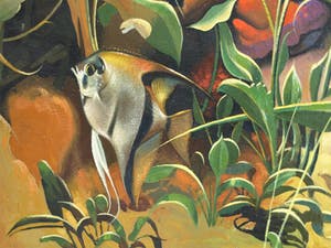 J.B. Palsen - Olieverf op doek , Tropische vissen in aquarium - ingelijst – ca 1960 kopen? Bied vanaf 50!