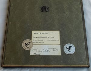 Marie Cecile Thijs - Ingelijste foto uit de serie 'White Collar', Cat with White Collar IV - 2013 kopen? Bied vanaf 1500!
