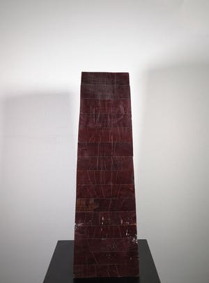 Ditte Langenhorst - Hout, Aandacht (Zwaar) kopen? Bied vanaf 100!