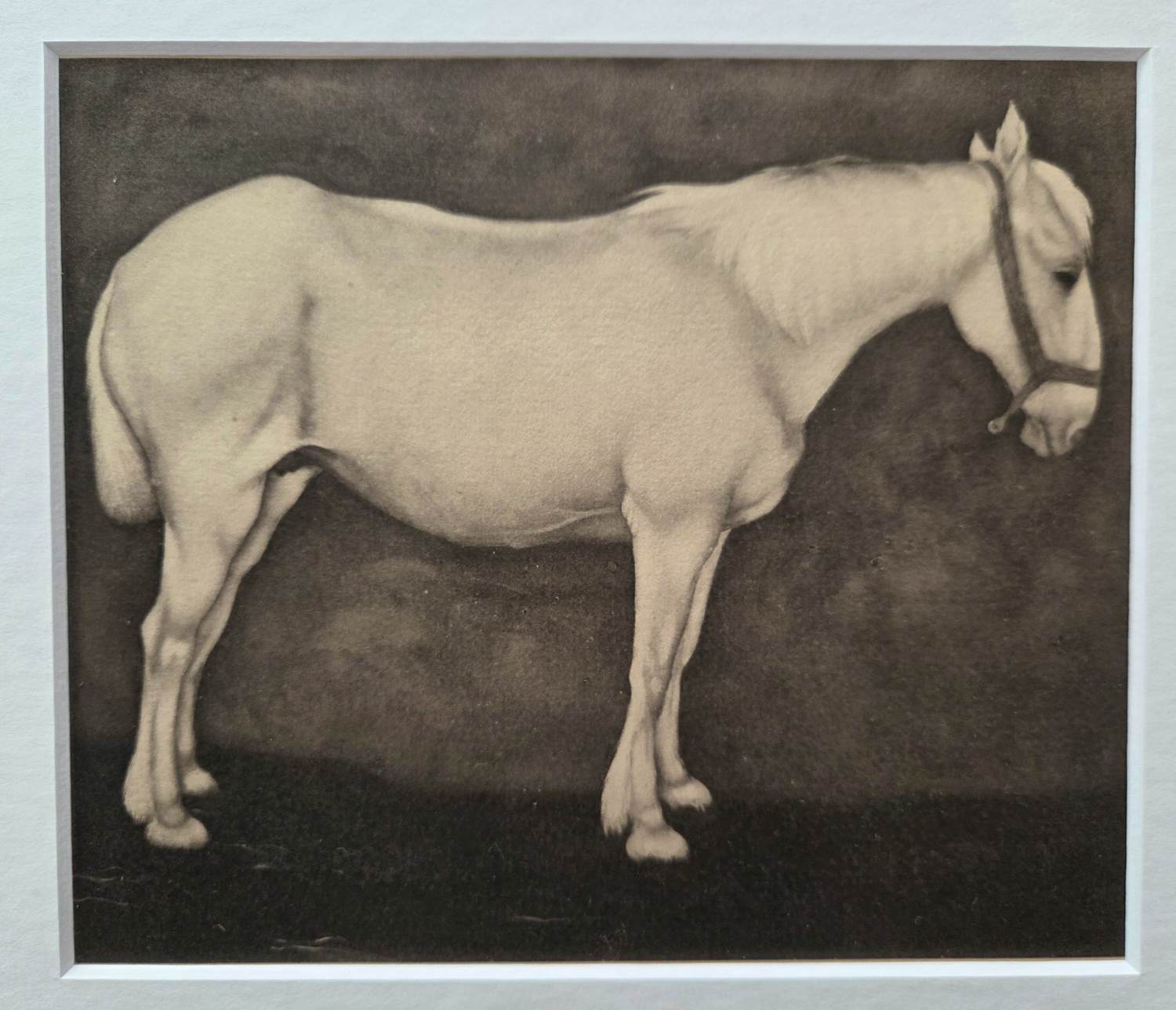 Jan Mankes - Paard. Ingelijst. kopen? Bied vanaf 119!