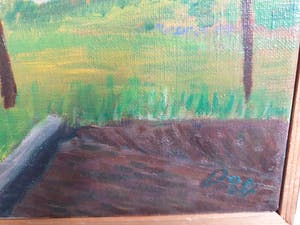 Don Drost - Gezicht op Nijmegen kopen? Bied vanaf 25!