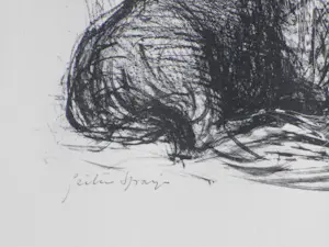 Kees Andrea - Geiten Spanje - Litho kopen? Bied vanaf 38!