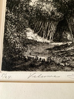 Jan van Rijsewijk - "Veluwe" kopen? Bied vanaf 35!