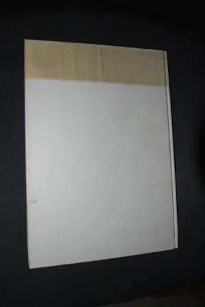 Louis Meys - 2 hardcover boeken kopen? Bied vanaf 50!