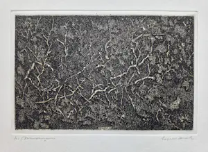 Willem Minderman - Planten, ets kopen? Bied vanaf 45!