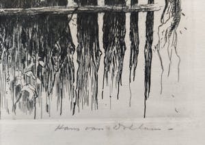 Hans van Dokkum - Vervallen tuinhek kopen? Bied vanaf 25!