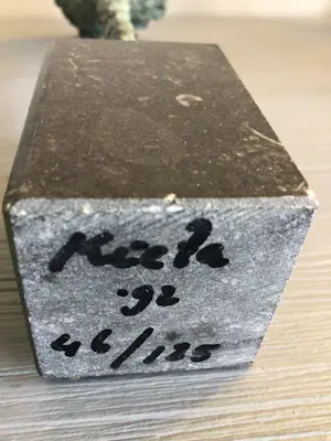 Kieta Nuij - “ Ontluikende bloem “ zeldzaam kopen? Bied vanaf 275!