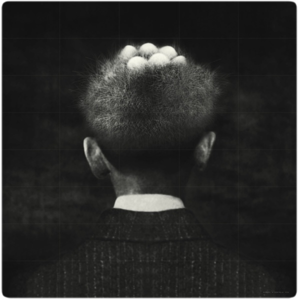 Schilte & Portielje (1997)