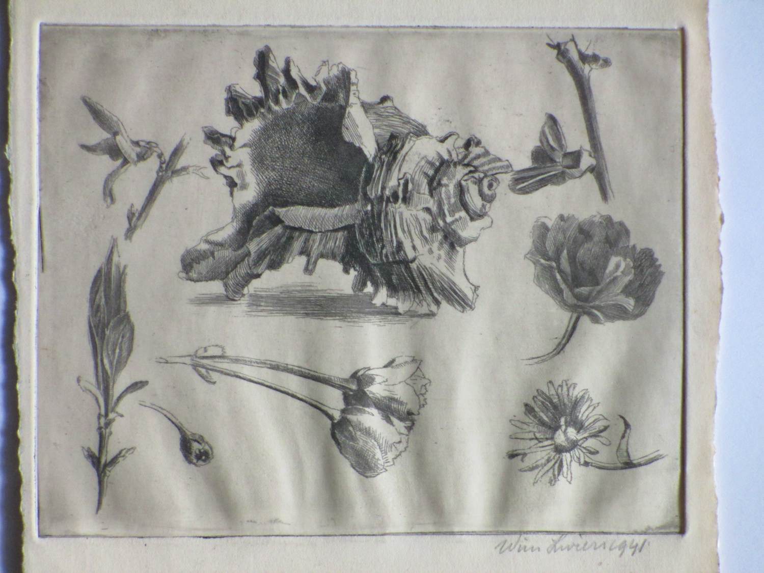 Wim Zwiers - Bloemen en een schelp - Kopergravure kopen? Bied vanaf 40!