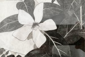 Mark Cohen - Work on paper N3 kopen? Bied vanaf 45!