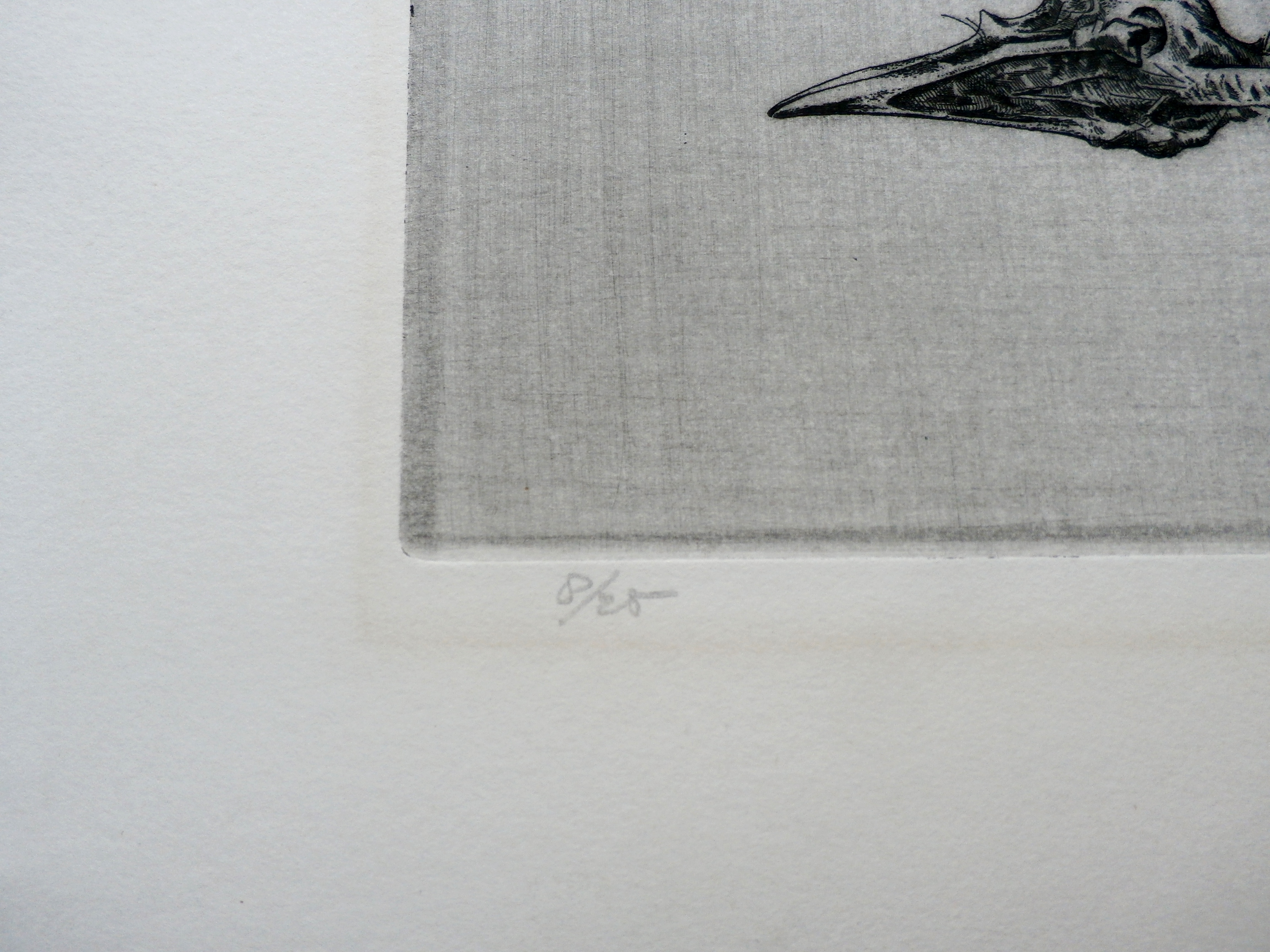 Dick Stolwijk - ets - kopen? Bied vanaf 75!