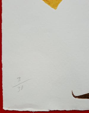 Reinhoud D'Haese - Vereend met hart en ziel, metaaldruk kopen? Bied vanaf 300!