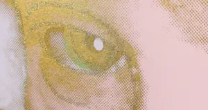 Andy Warhol - Zeefdruk, Santa Claus uit de serie 'Myths' - Ingelijst (Groot) kopen? Bied vanaf 1!