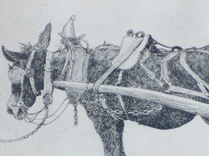 Johannes Henrichs - Ezeltje - Ets kopen? Bied vanaf 40!