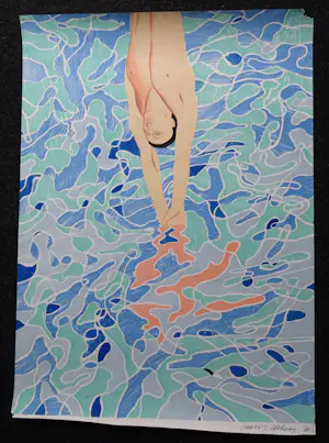 David Hockney - the diver, offsetlitho gesigneerd in druk kaufen? Bieten Sie von 50!