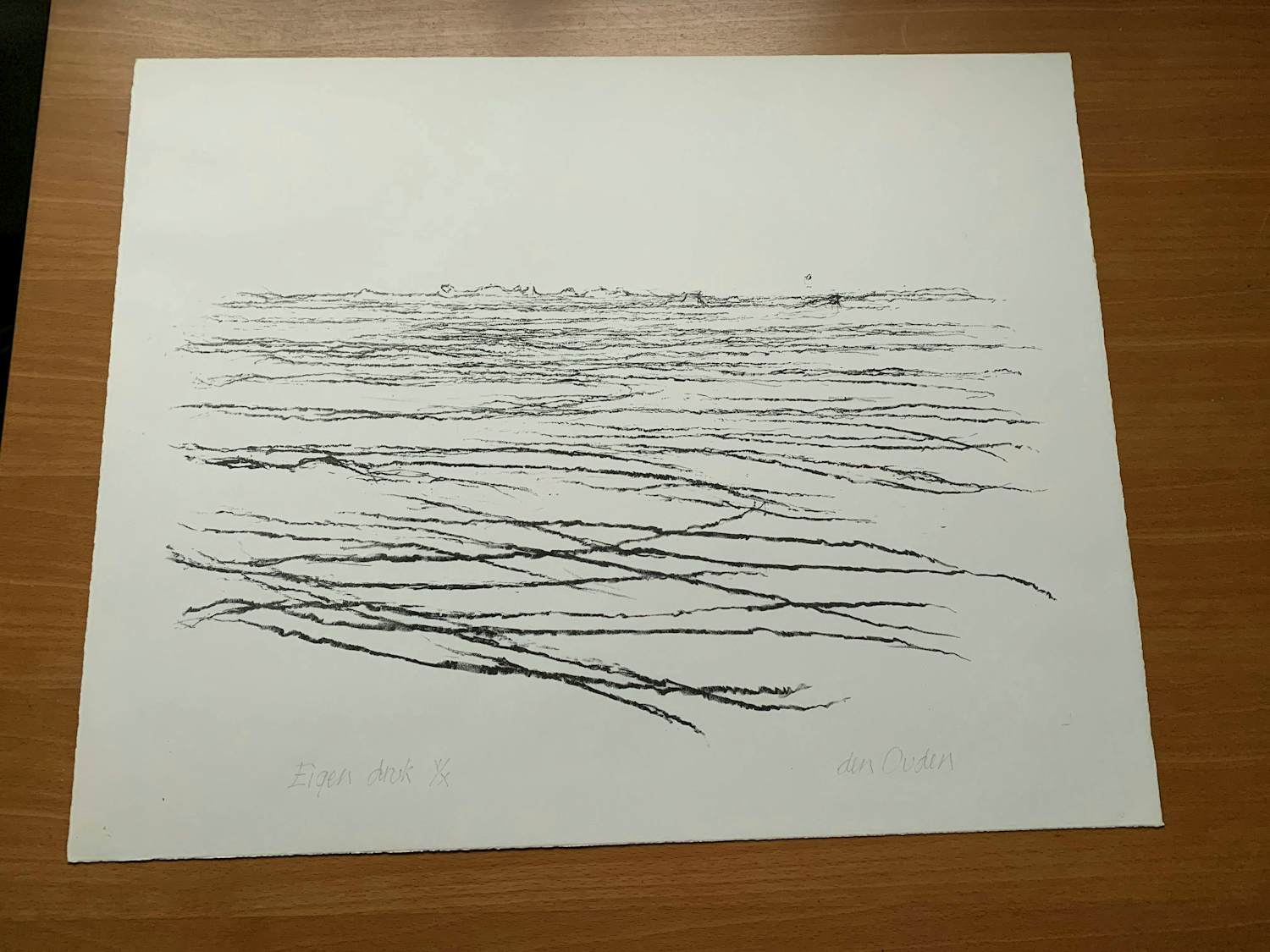 Willem den Ouden - litho De Waal 1991 nummer V/X kopen? Bied vanaf 79!