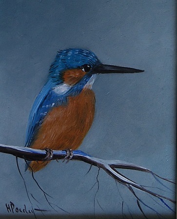 Henk Poeder - ijsvogel  kopen? Bied vanaf 70!