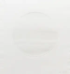 Tuvia Beeri - Lune blanche kopen? Bied vanaf 23!