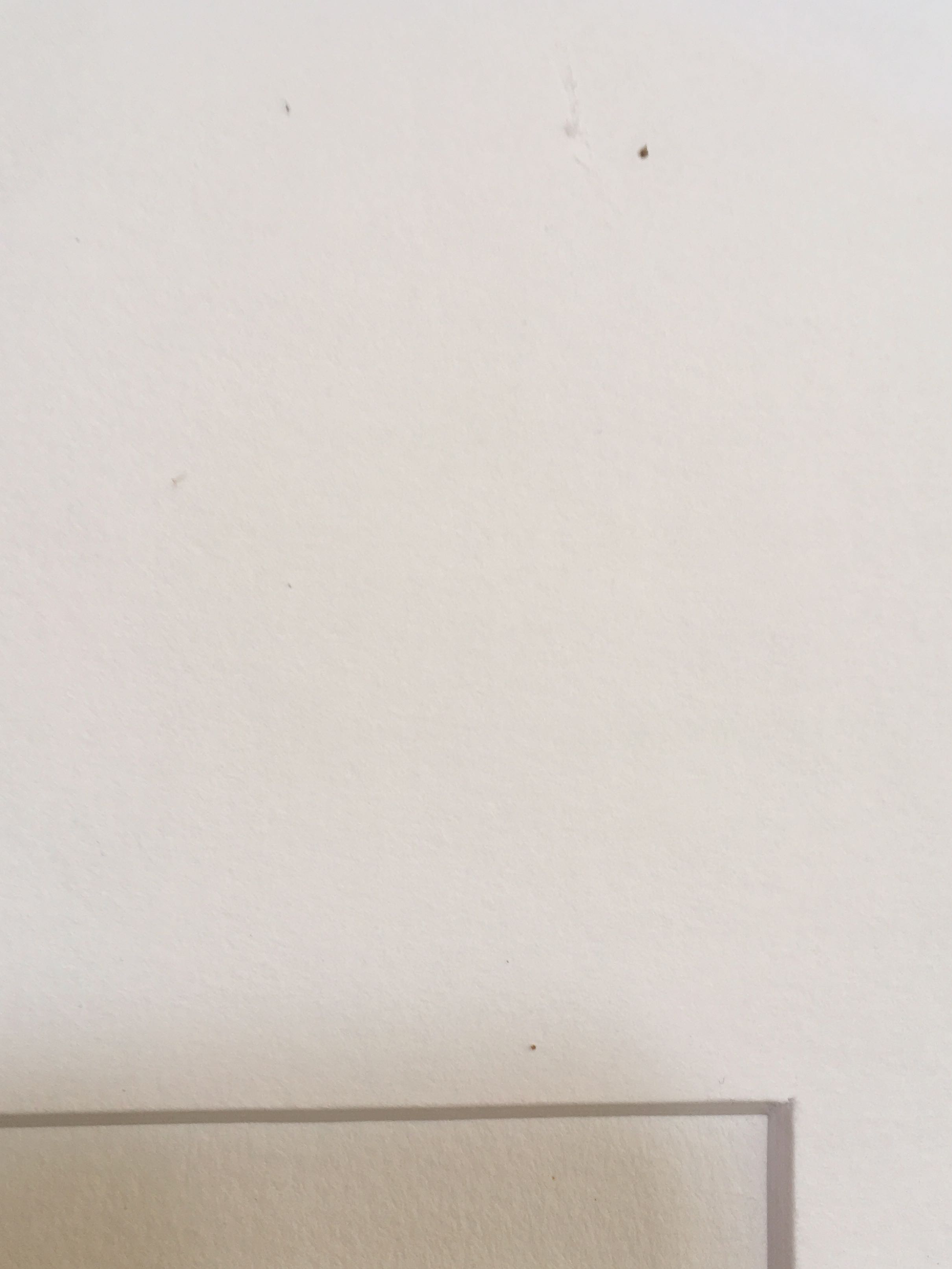 Harrie Gerritz - Figuratief kopen? Bied vanaf 40!