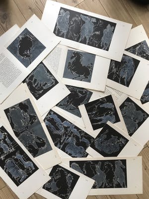 Hans Erni - Chevaux, 15 lithografieën, gesigneerd kopen? Bied vanaf 100!