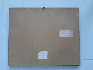 Anna Maria Zomer - Boerderij met kippen en paard kopen? Bied vanaf 80!