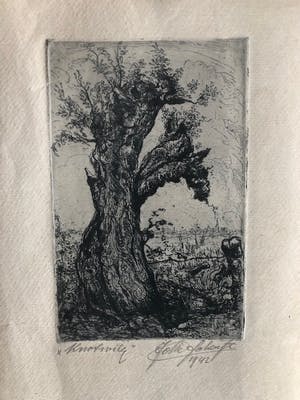 Johan D. Scherft - Knotwilg in hollands landschap kopen? Bied vanaf 20!