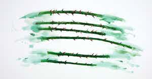 John van 't Slot - Gouache, Doorntakken verkocht voor € 60!