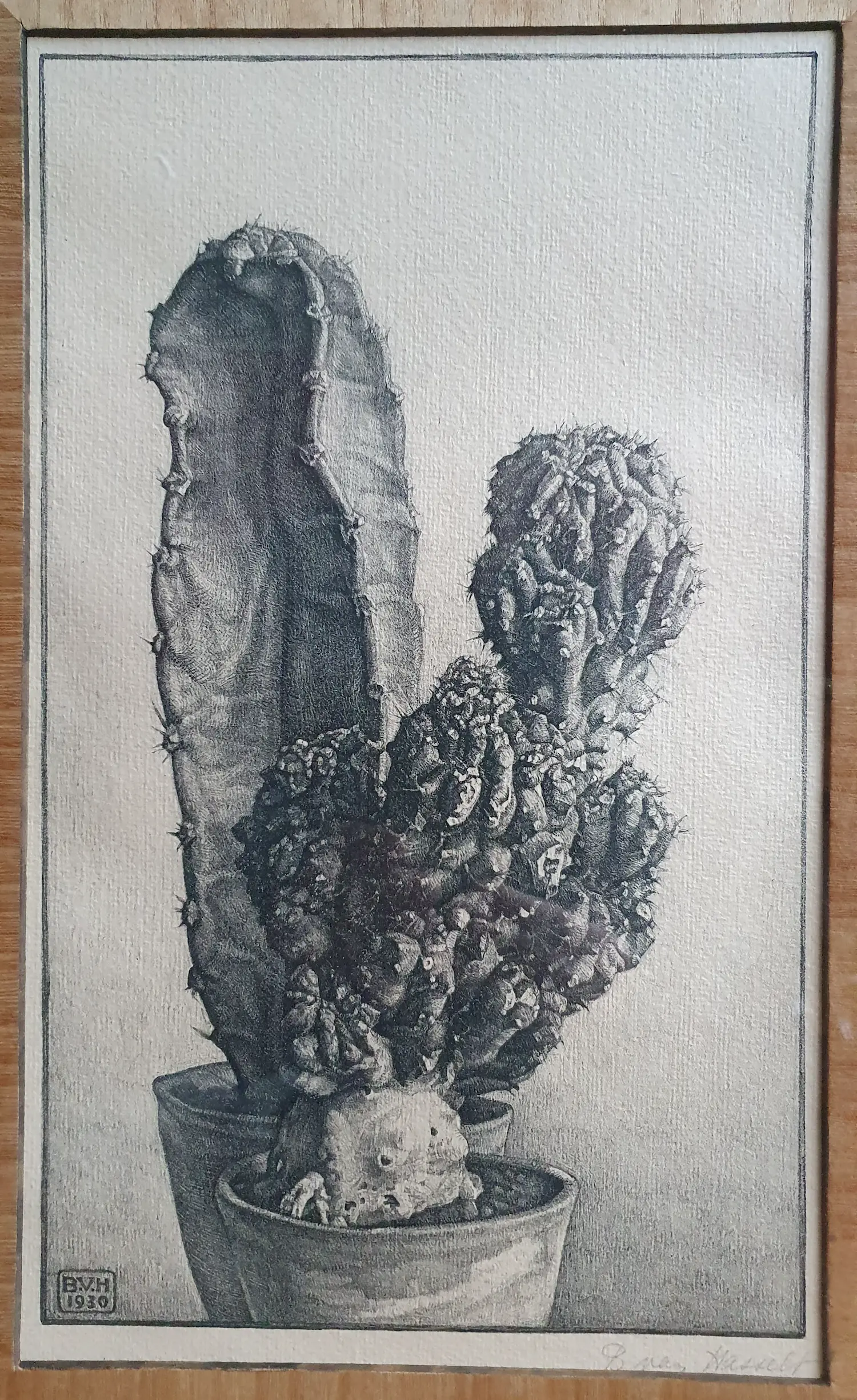 Bertha van Hasselt (1878-1932)