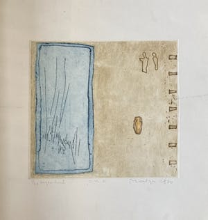 Jan Montyn - Eigen druk, kleurenets. kopen? Bied vanaf 75!