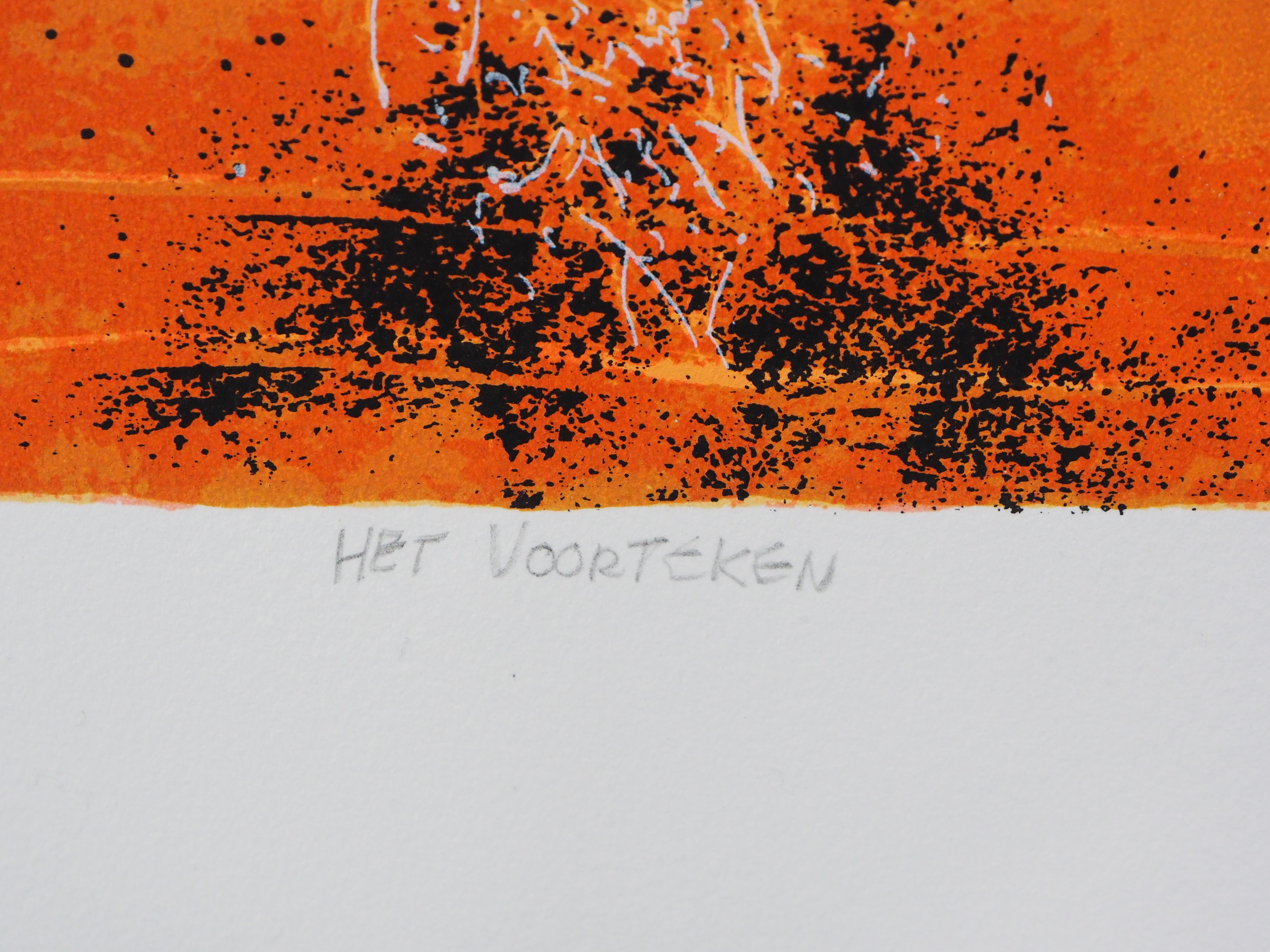 Cor de Jong - Het Voorteken kopen? Bied vanaf 20!