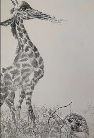 Peter Vos - De ontdekking van de giraffe kopen? Bied vanaf 35!