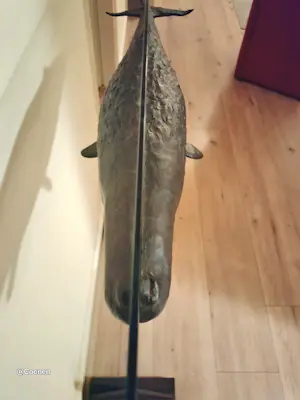 Harro Nikkels - Potvis kopen? Bied vanaf 7000!