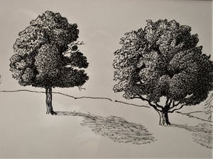 Erna van Mondfrans - Grote Inkt tekening "Frankrijk Mont Rouch Pyreneeën " gesigneerd kopen? Bied vanaf 10!