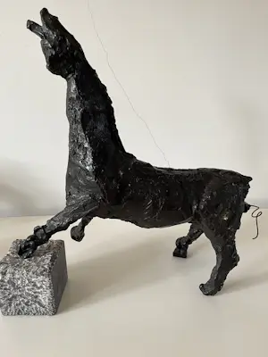 Ger Lataster - PAARD kopen? Bied vanaf 800!