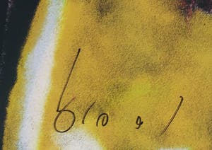 Herman Brood - Grote zeefdruk, Naakt kopen? Bied vanaf 1!