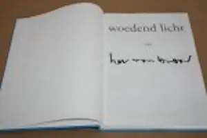 Herman Brood - Woedend licht, incl zeefdruk - 2000 kopen? Bied vanaf 125!