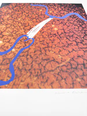 Marina Abramovic - zonder titel kopen? Bied vanaf 259!