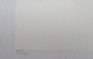 Metten Koornstra - Man bij schuur en bomen kopen? Bied vanaf 35!